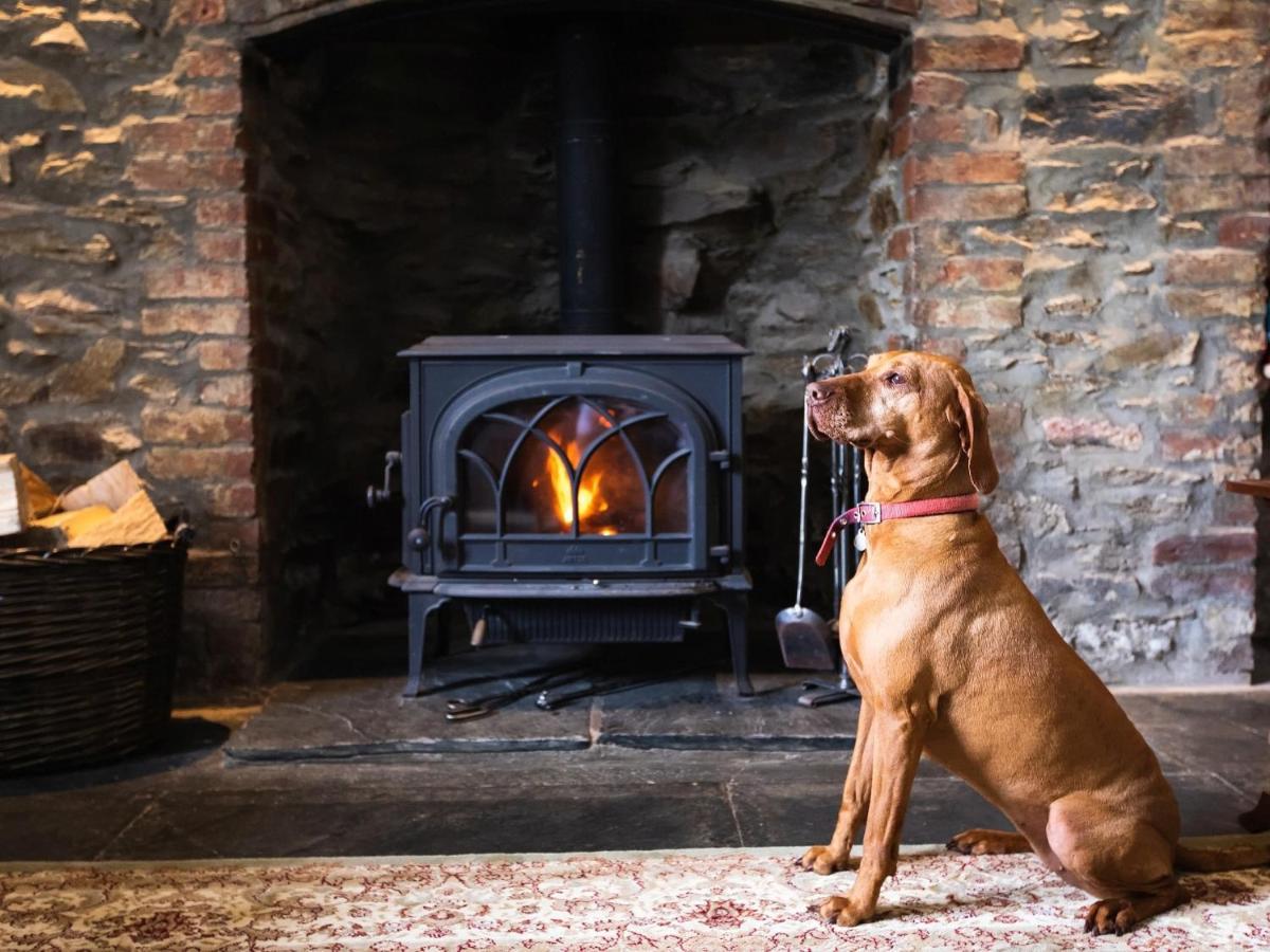 Pengelly Farmhouse B&B Truro Eksteriør billede